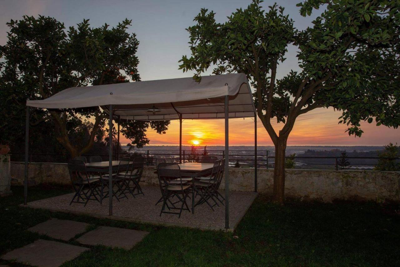 Agriturismo Villa Cavallini Camaiore Dış mekan fotoğraf